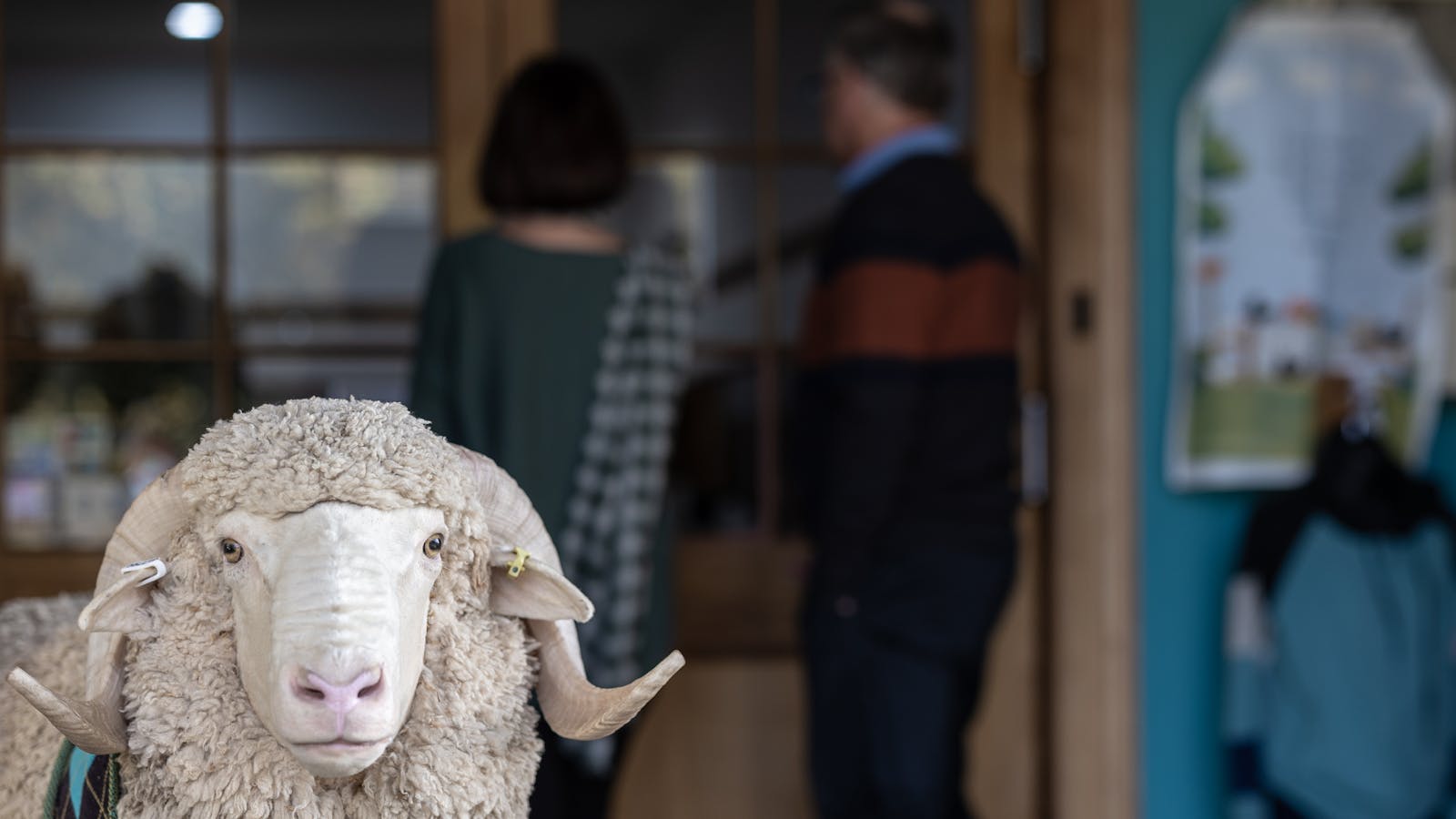 Tasmanian Wool Centre Entry