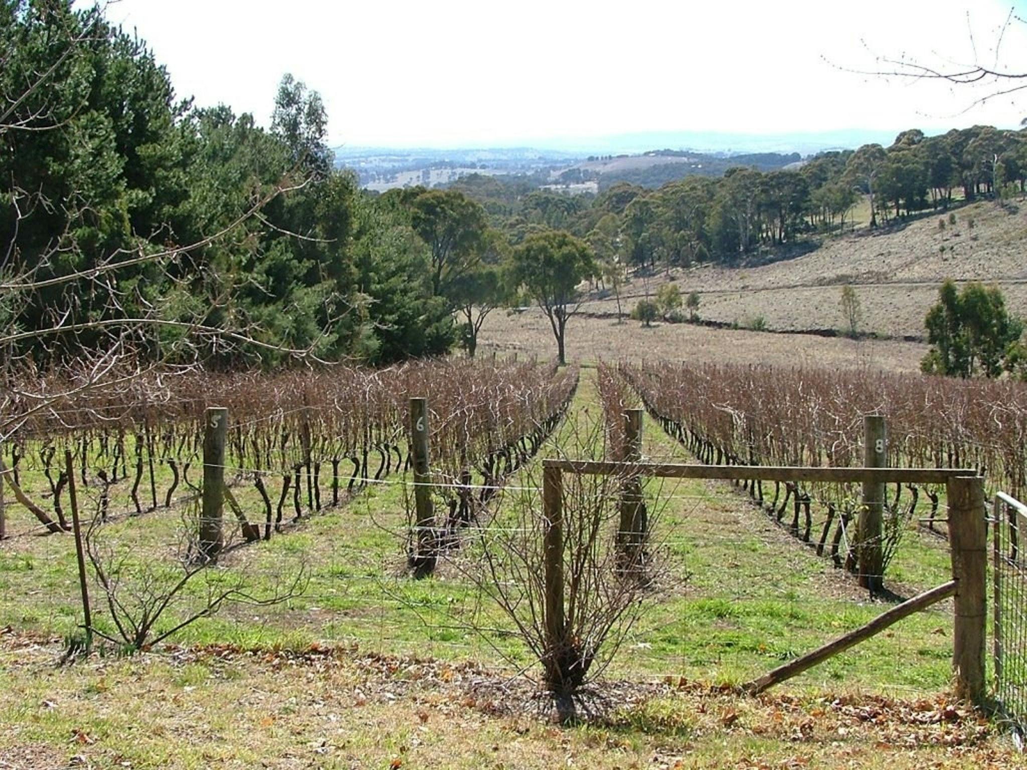 Habitat Vineyard