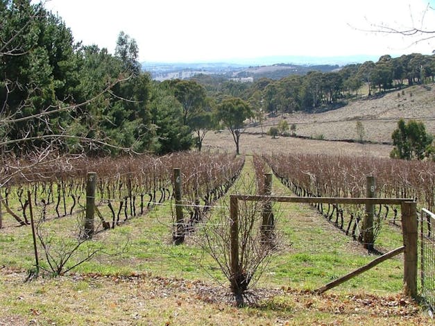 Habitat Vineyard