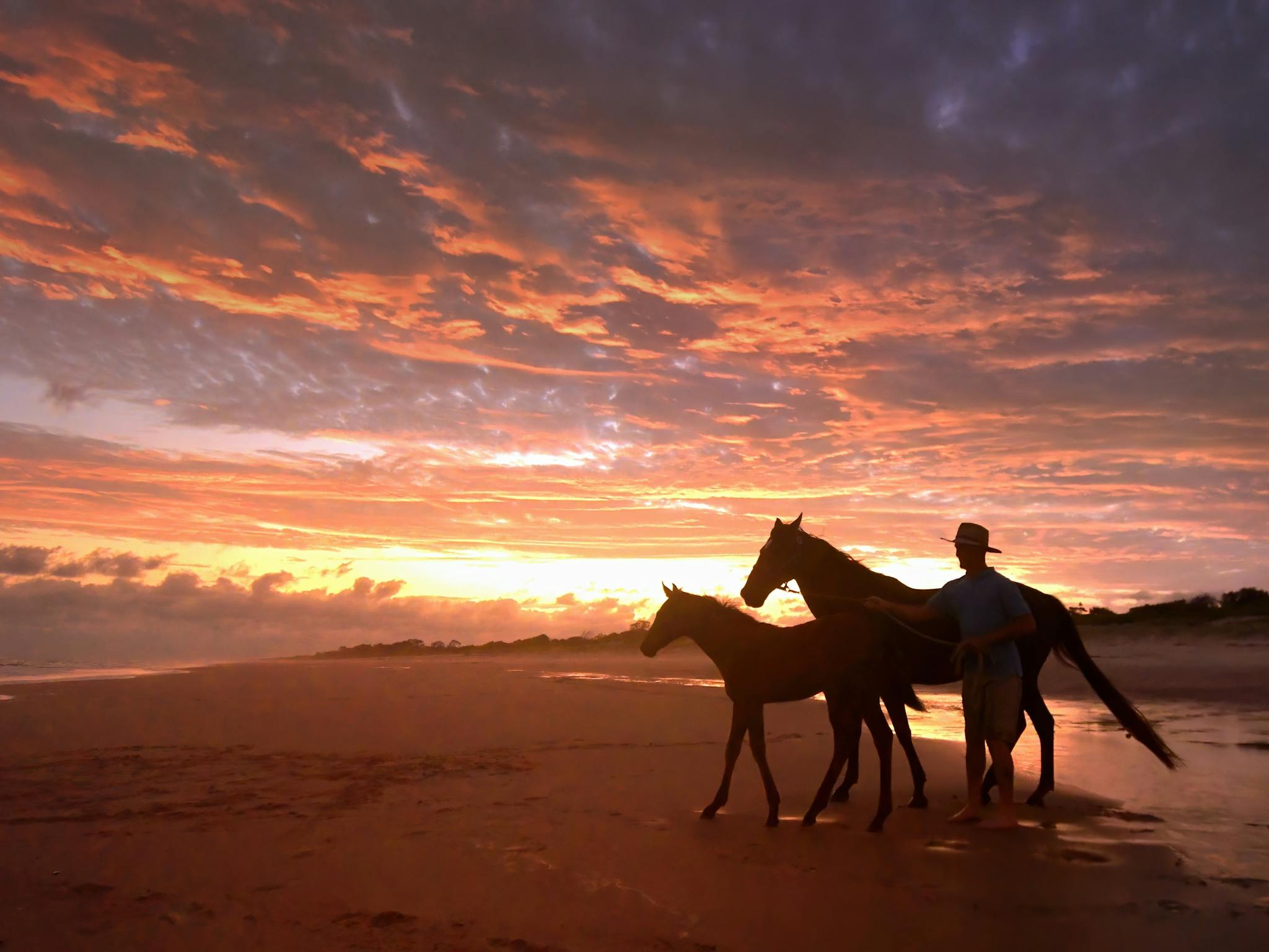 An operating horse ranch specialising in equine wellness and unique horse stays