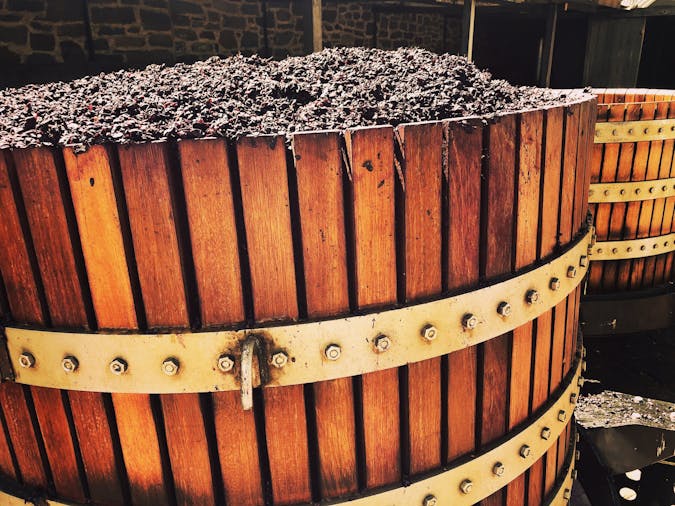 Barossa Valley Voyager - Small Group Tour