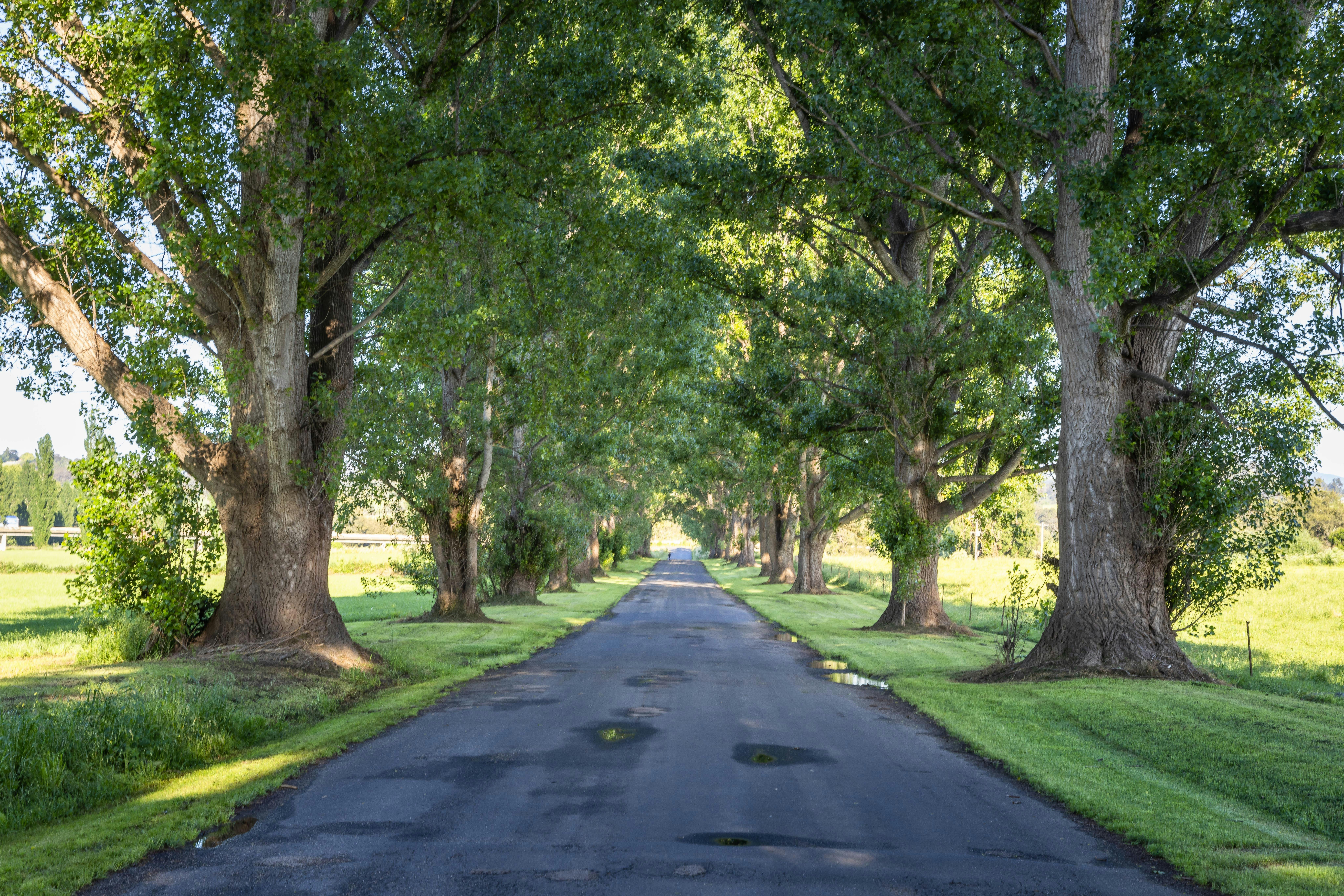 Bega, Sapphire Coast NSW, South Coast