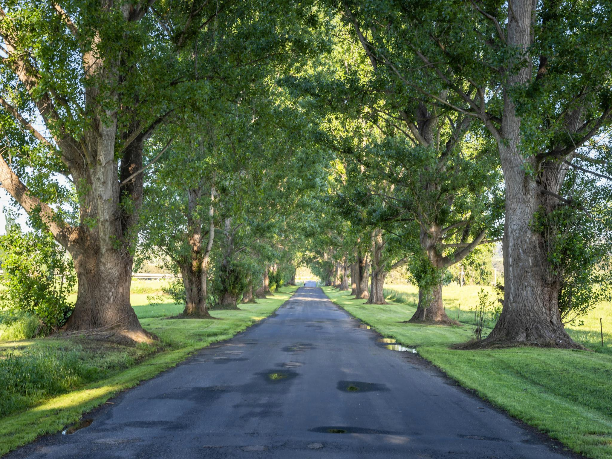 Bega, Sapphire Coast NSW, South Coast
