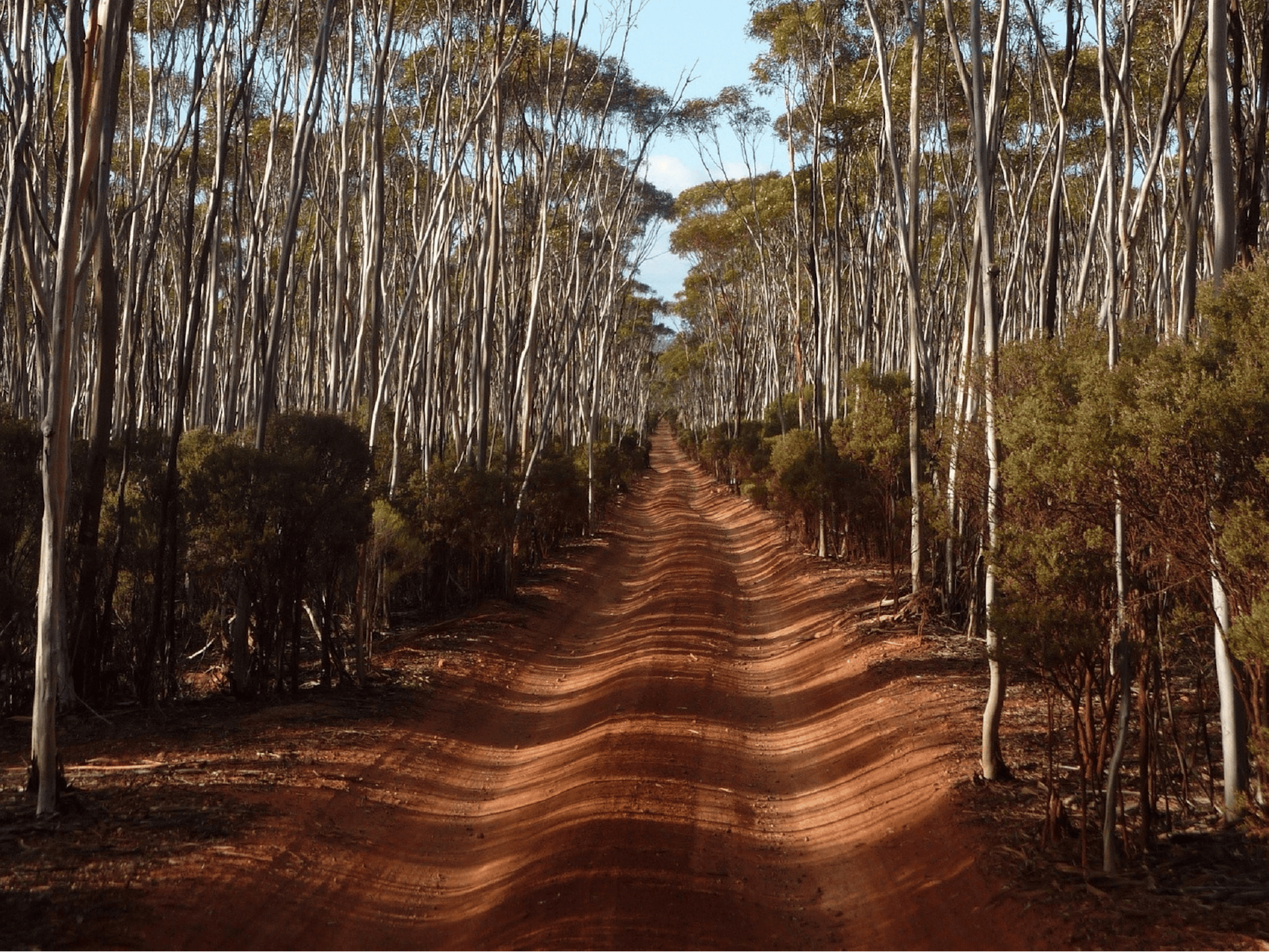 Victoria Rock Campground in Victoria Rock - The Fold: Your Guide to ...