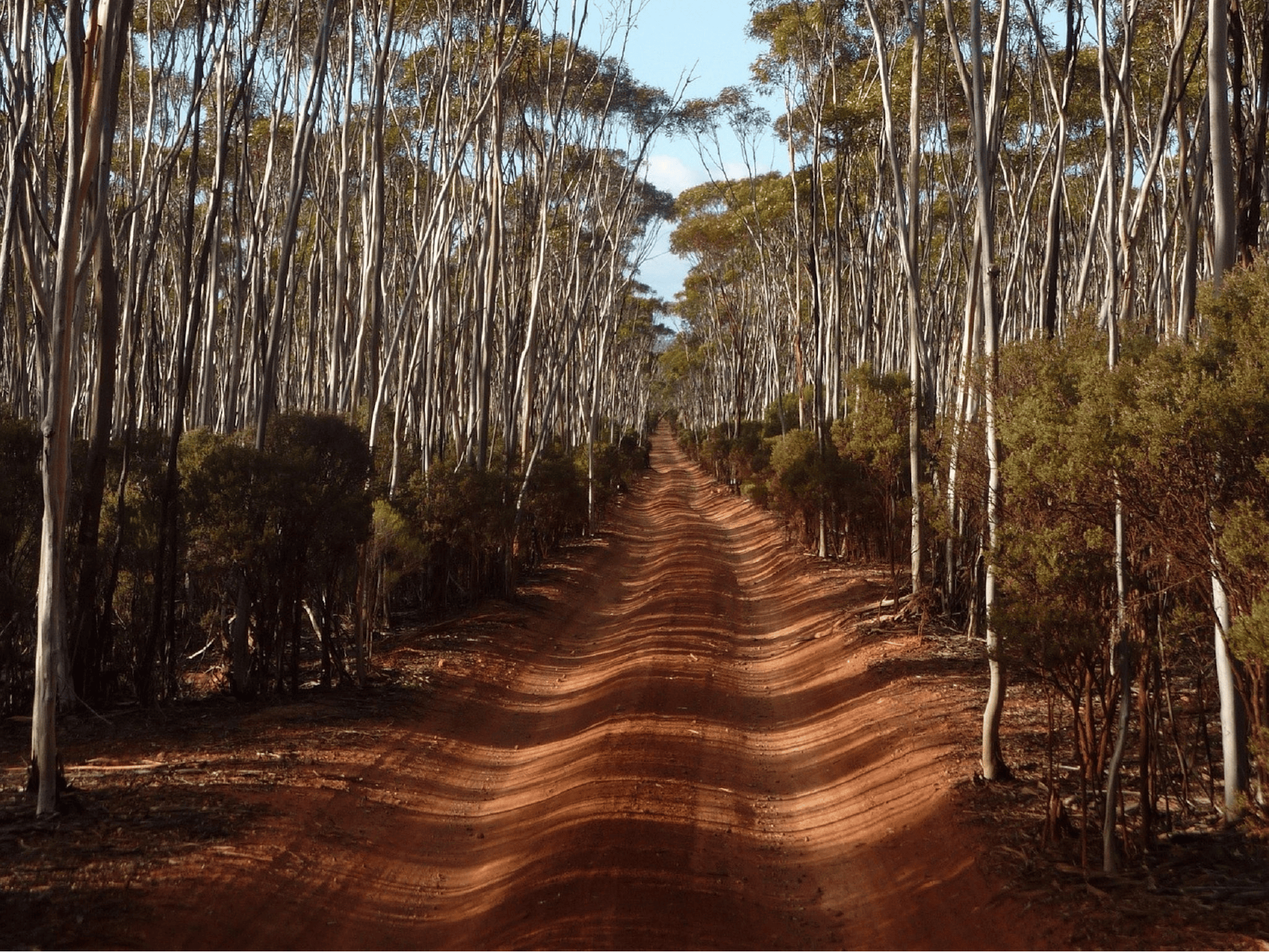 Victoria Rocks Wa Victoria Rock Campground in Victoria Rock - The Fold: Your Guide to ...