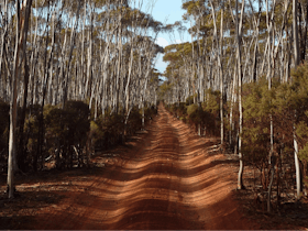Goldfields Woodlands National Park, Western Australia
