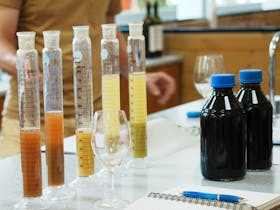 Wine testing