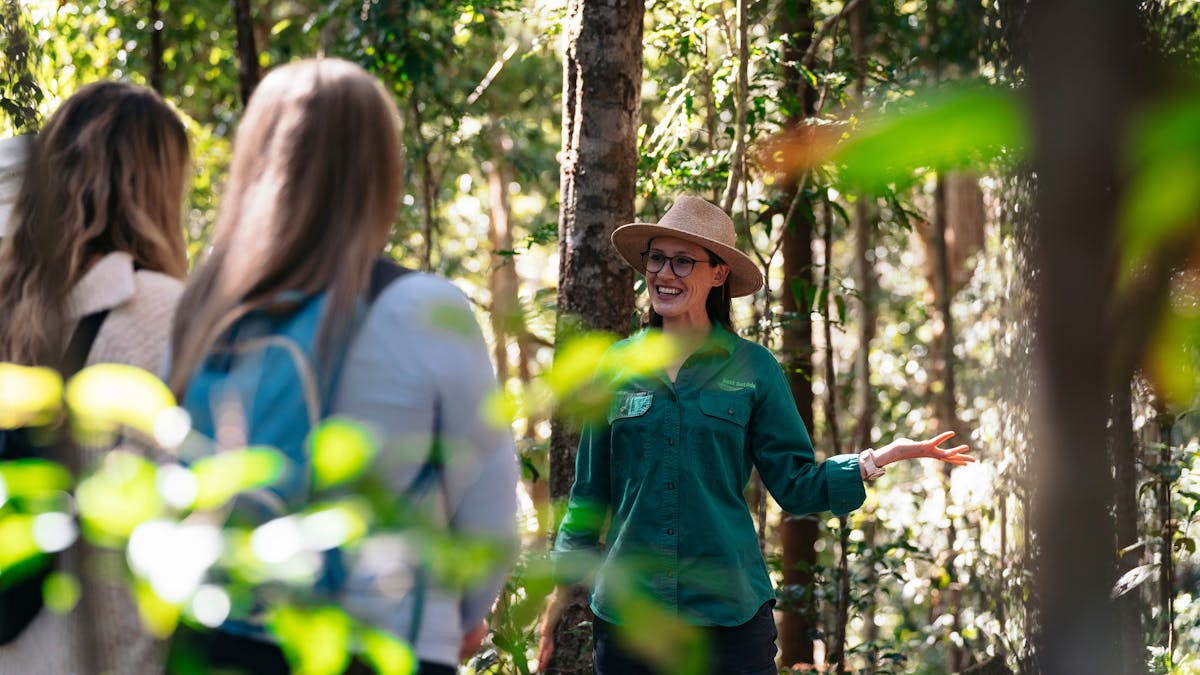 Forest bathing guide in forest with two women