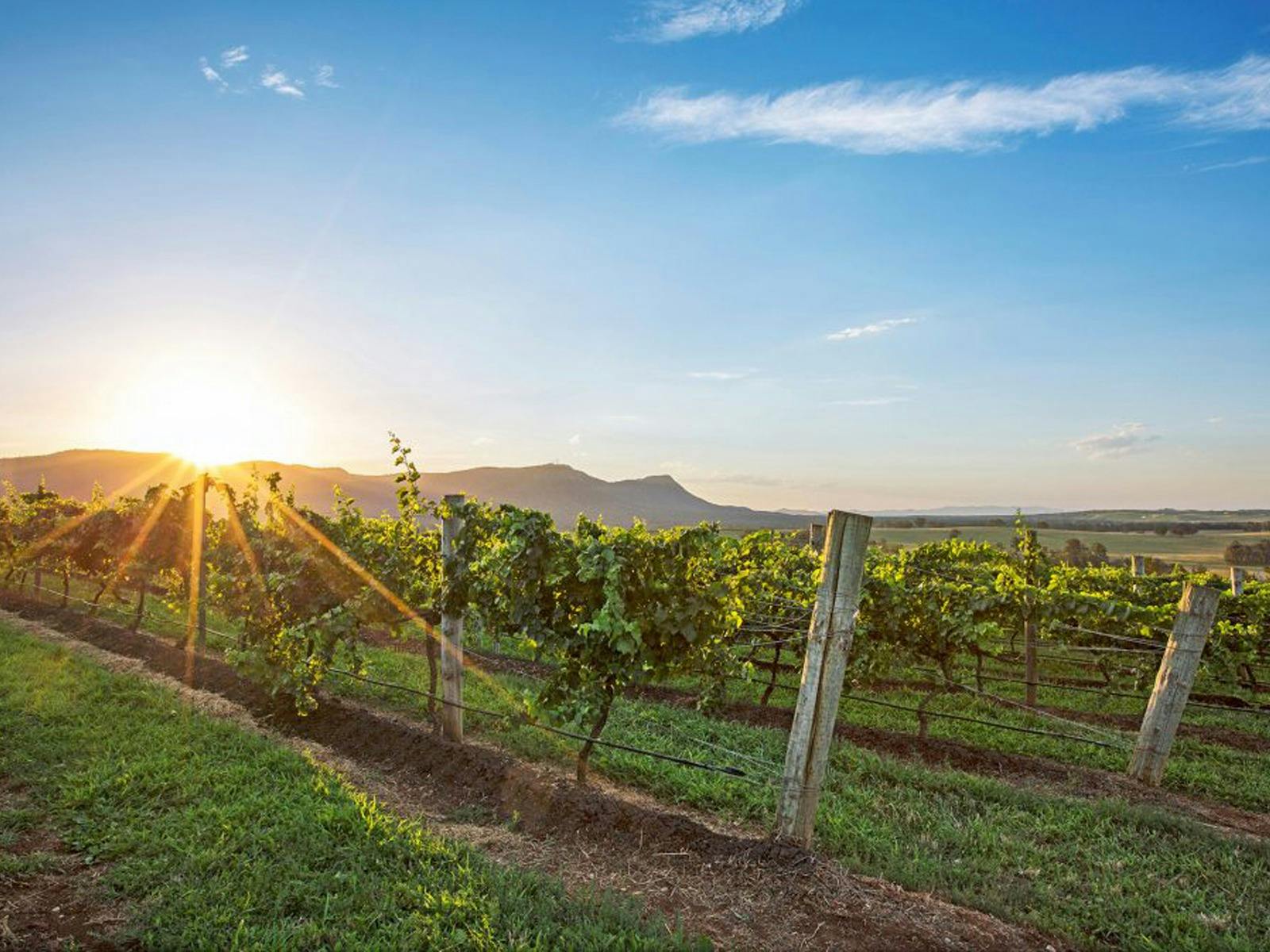 Hunter Valley