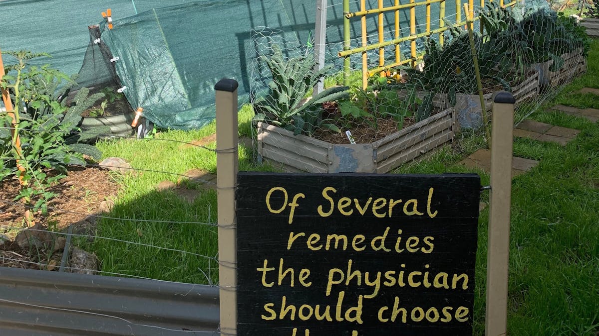 Permaculture Garden