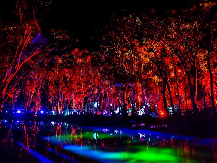 Trees lit up in red over a blue and green illuminated lagoon