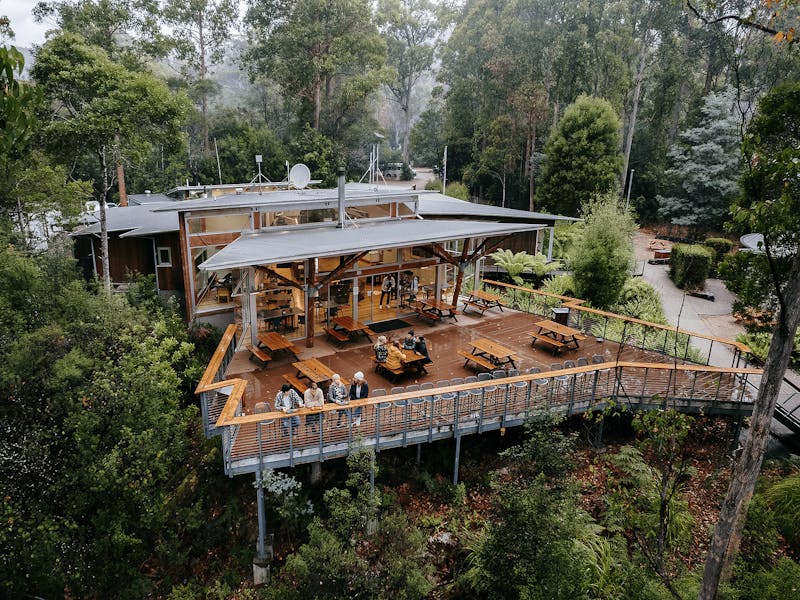 A cafe with wooden deck surrounded by forest