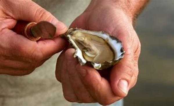 Tunstead Oysters