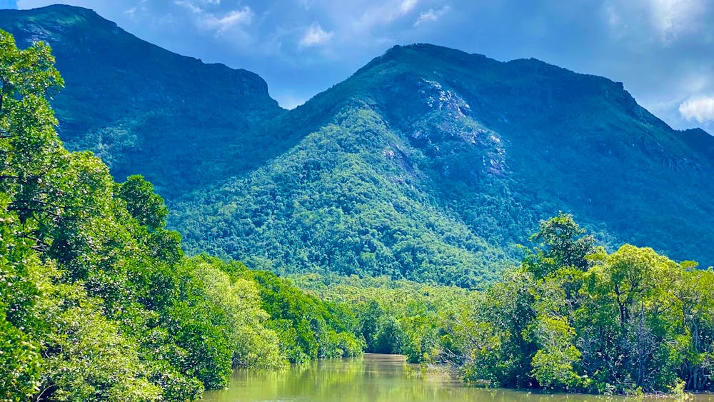 Hinchinbrook Eco Experience