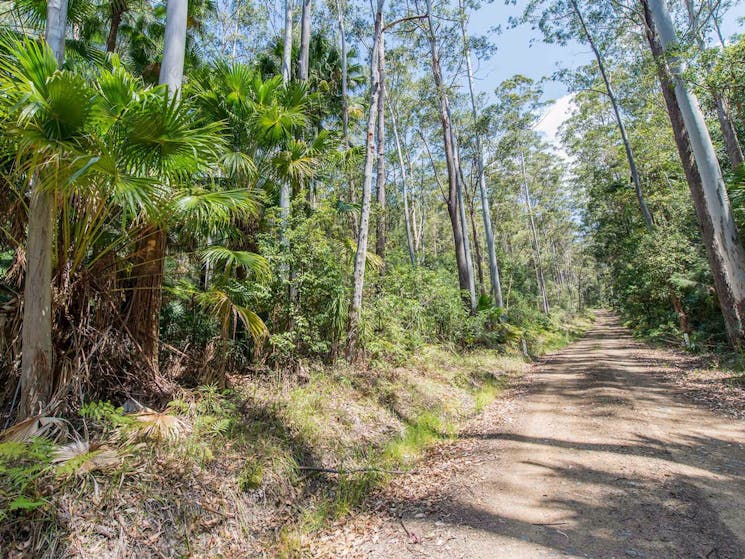 Tip to Tail trail, Wallingat National Park. Photo: John Spencer