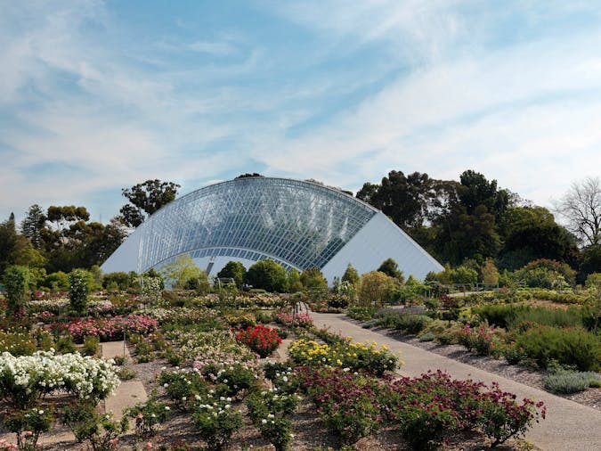 Bicentennial Conservatory - Adelaide Attraction SA Tourism