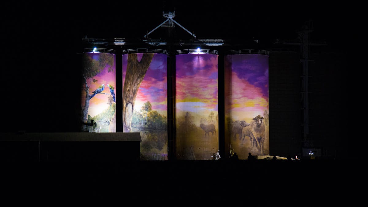 Thallon Silos 2018