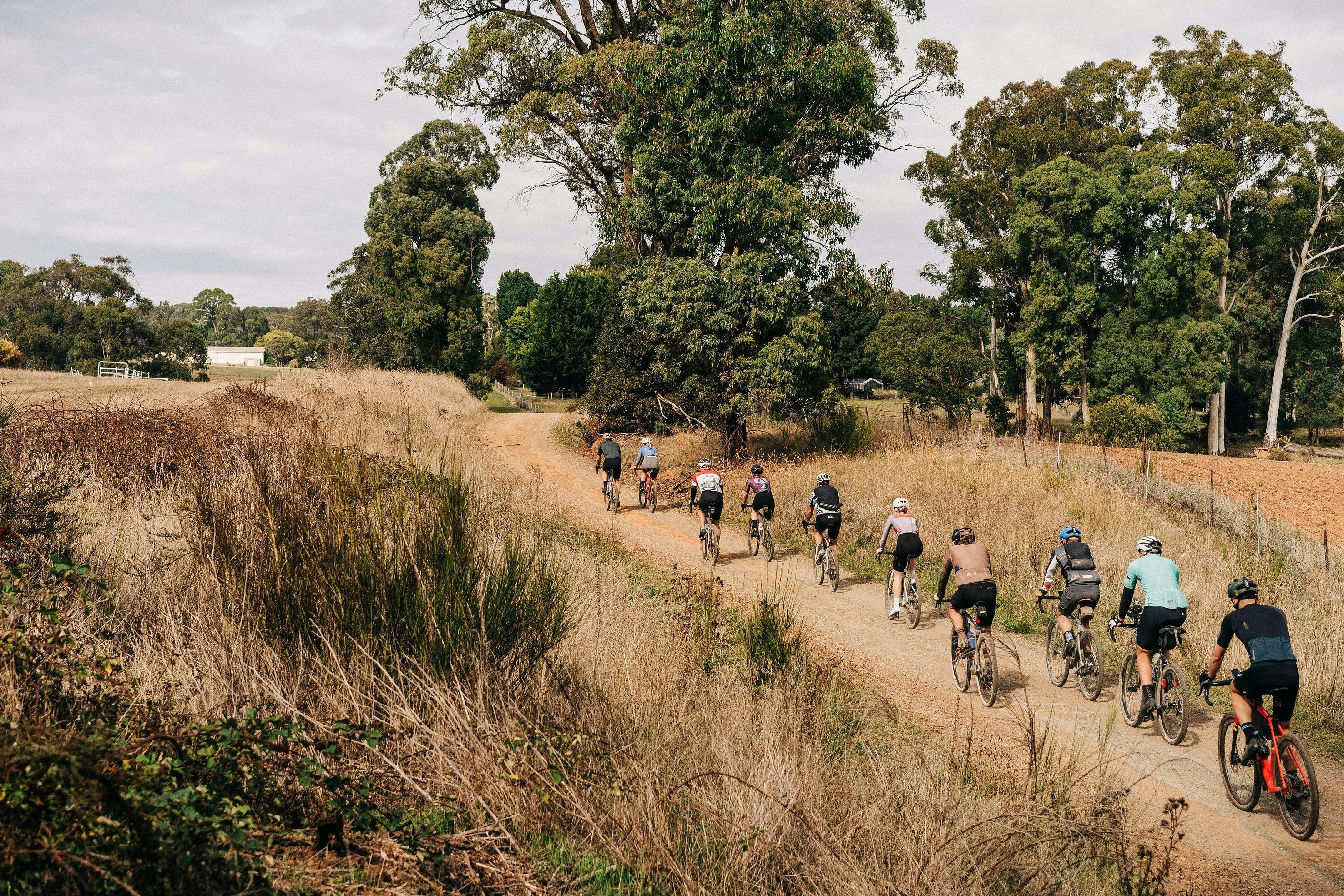 Cyclists riding along a dirt road among the paddocks