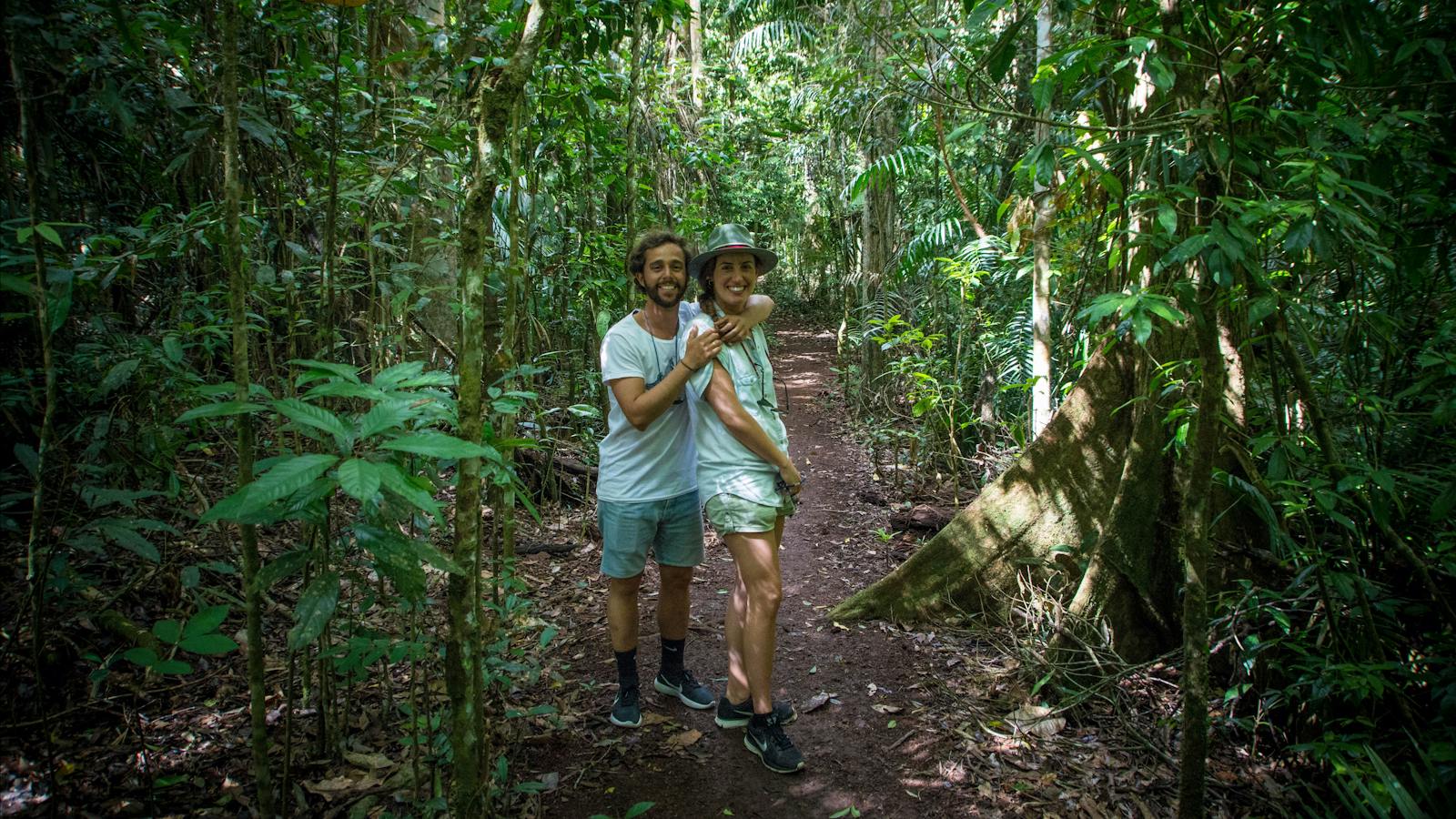 Peaceful rainforest tracks