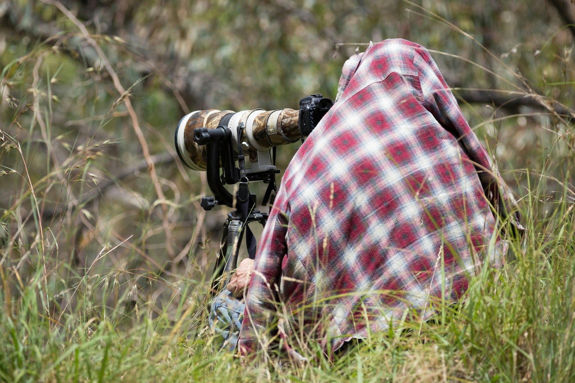 Wonga濕地的攝影師