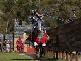 Abbey Medieval Festival Cover Image