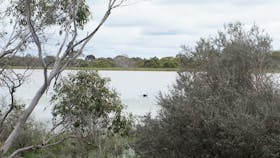 View of the old reservoir from the wildlife walk