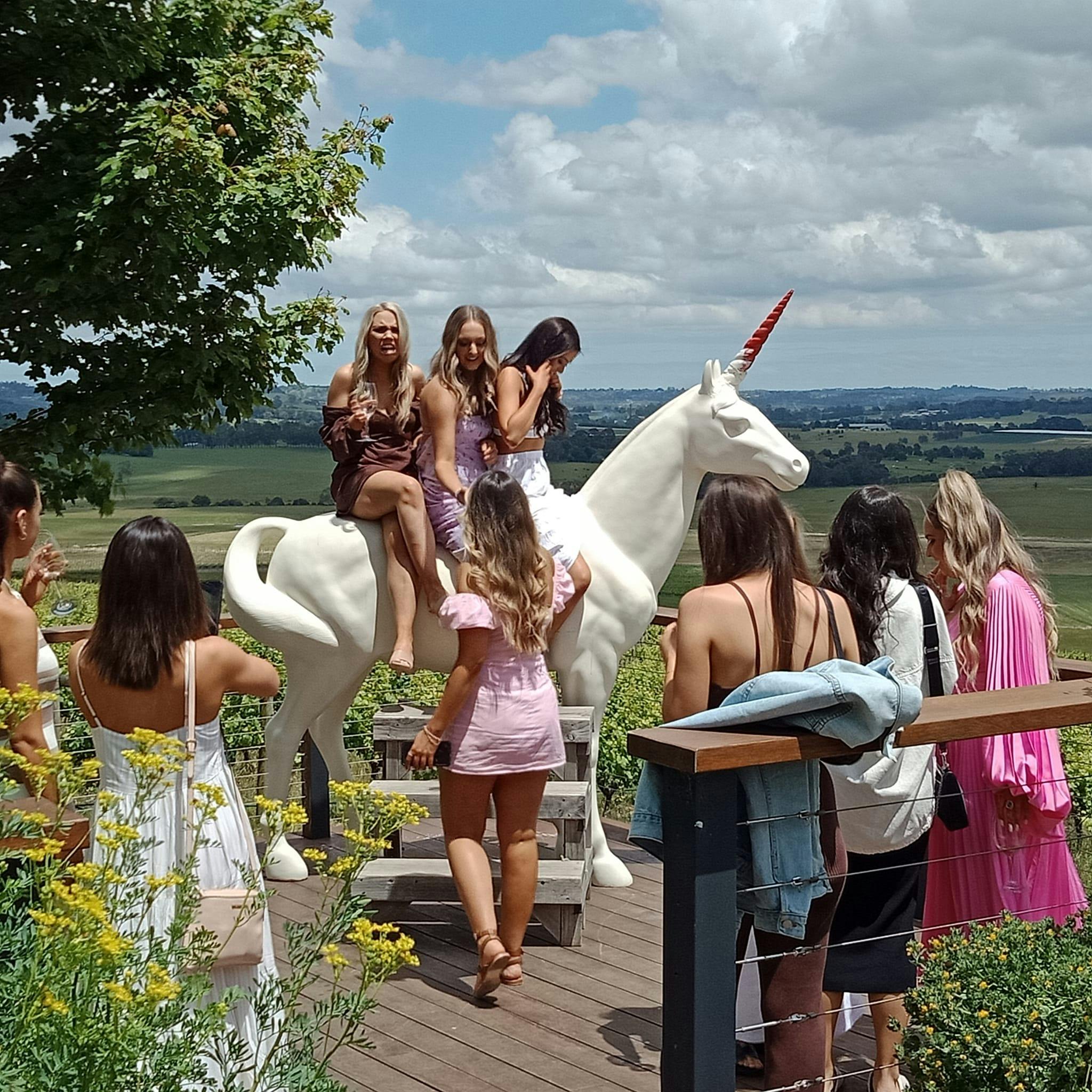 Private Yarra Valley Wine Tour - For the Love of Grape