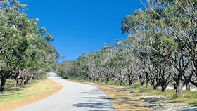 Avenue of Honour