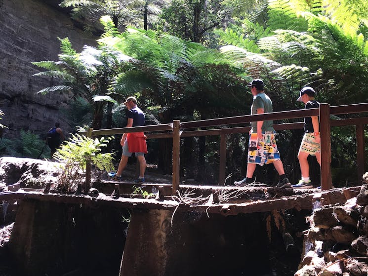 Glow Worm Tunnel Hike