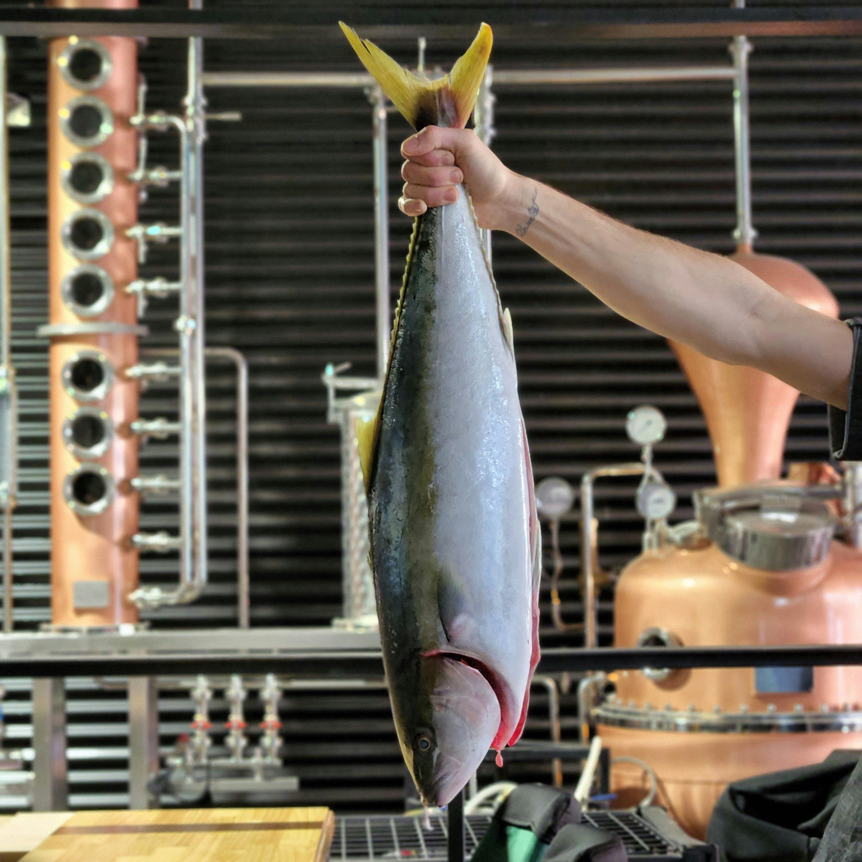 Mann hält einen ganzen Fisch vor dem Stillleben