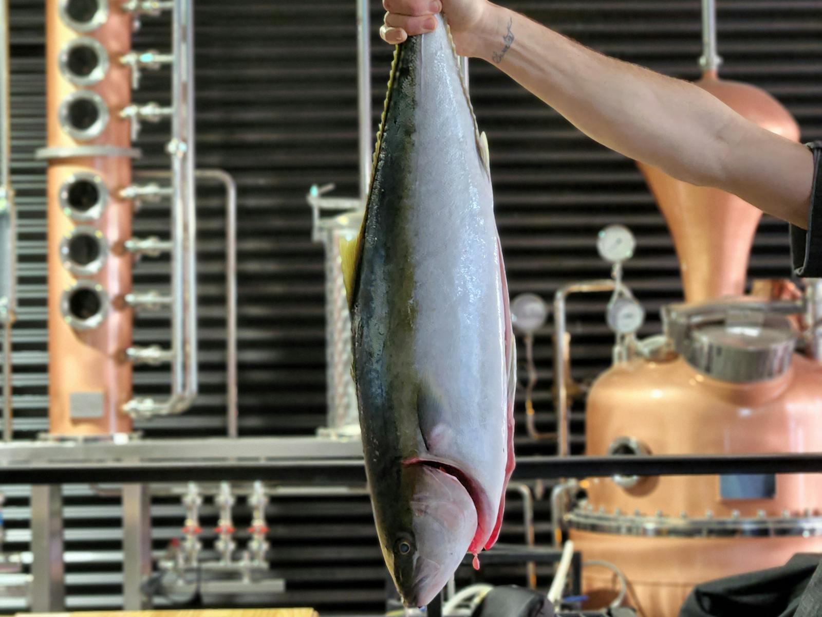 Old Salt- Local Fish
