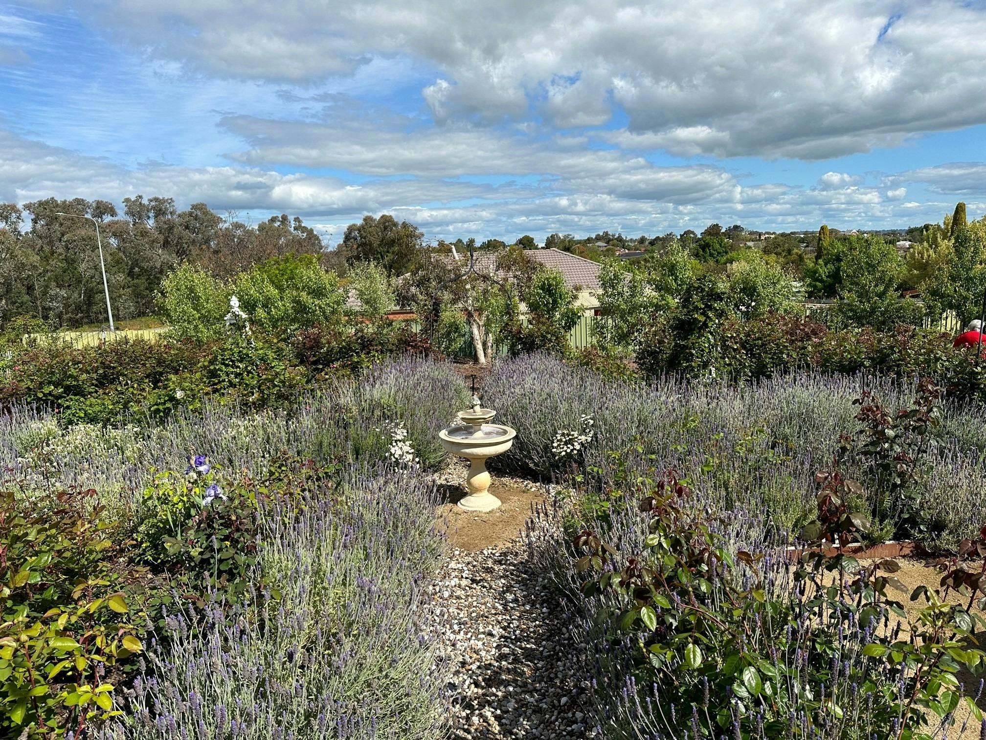 St Annes Garden Viewing