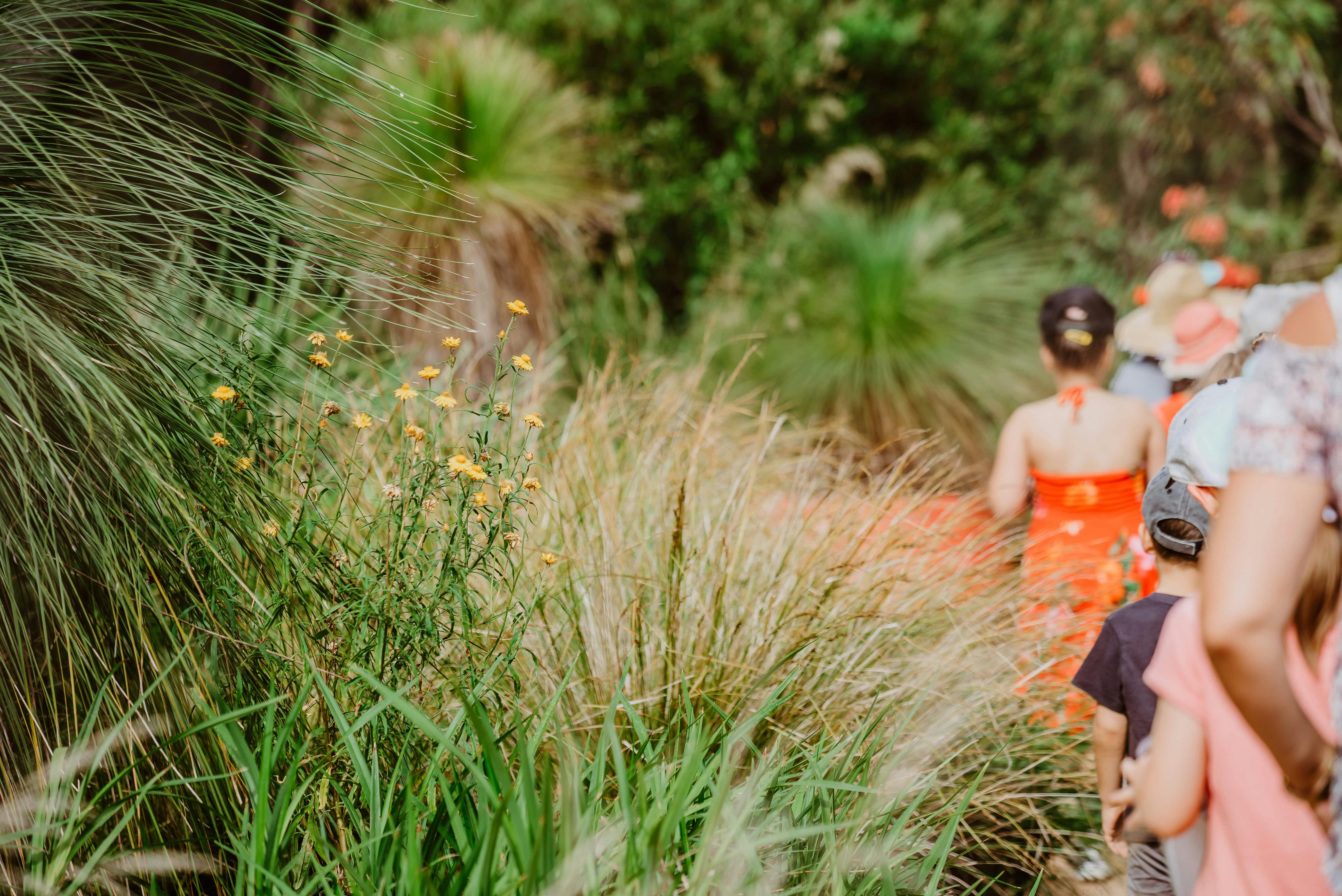 Let the kids explore