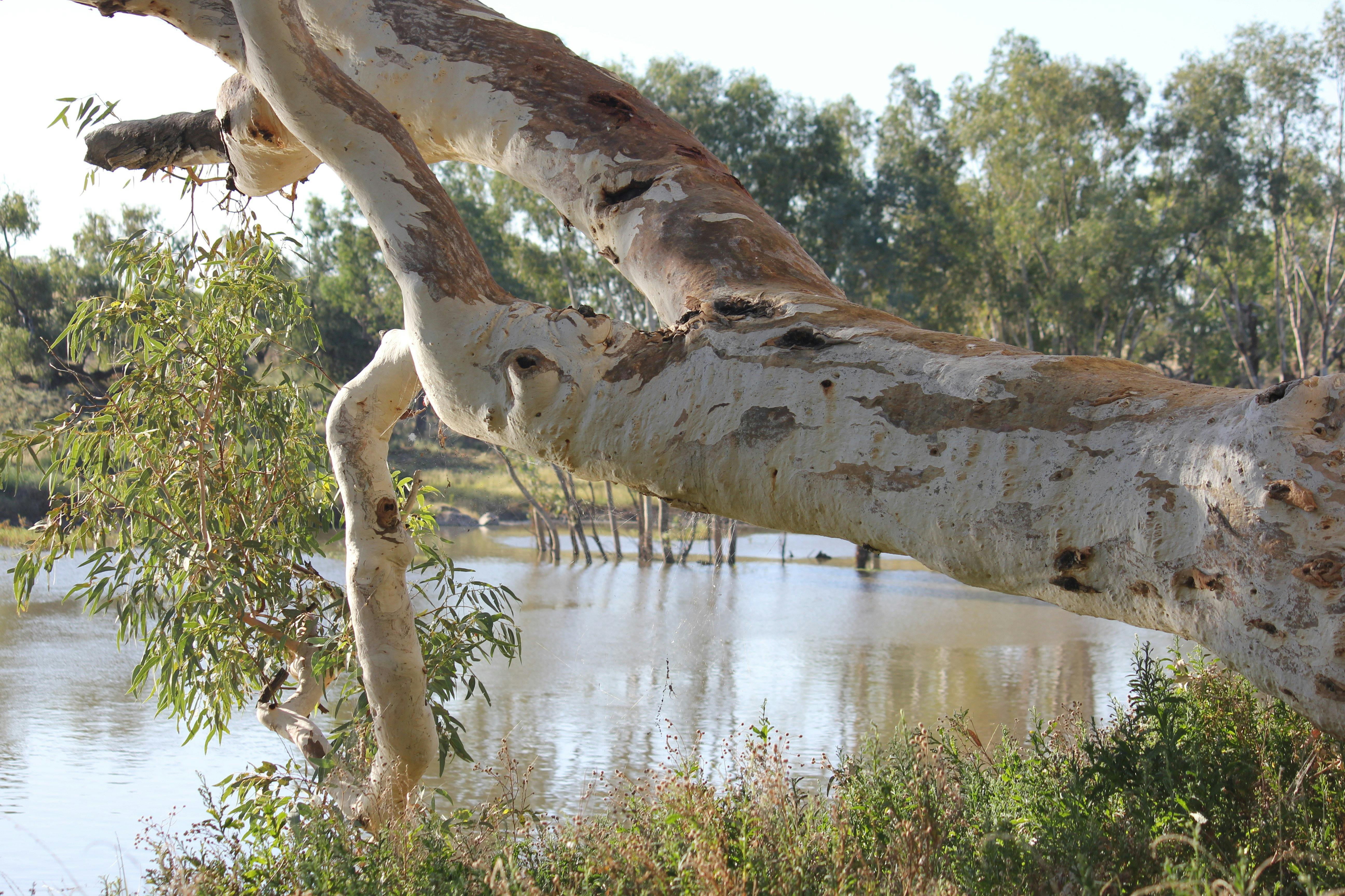 達令河跑悉尼到新南威爾士州布羅肯希爾內陸五天