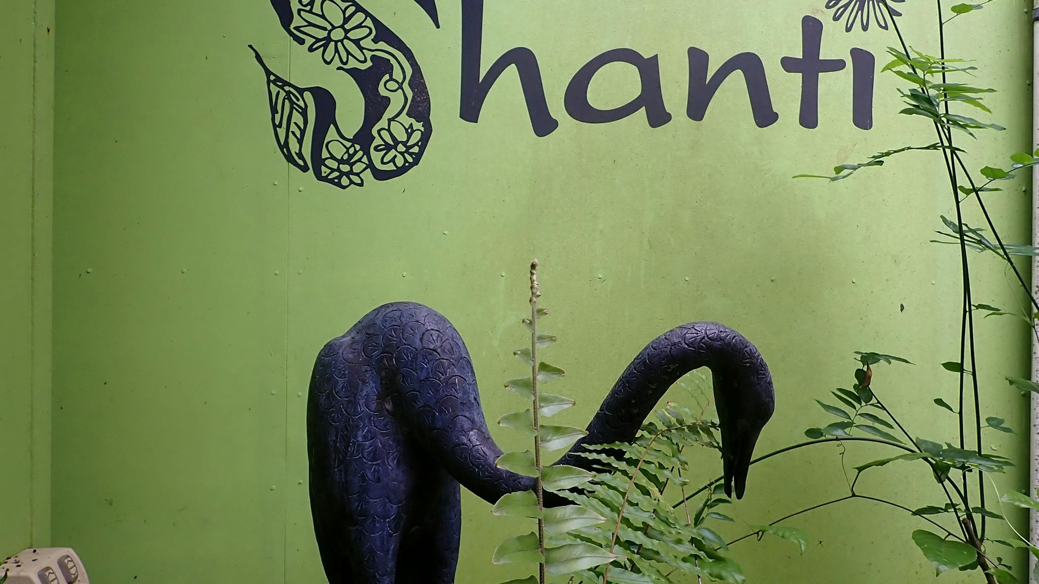 Shanti's garden crane , Mission Beach, Queensland Shanti's garden crane , Mission Beach, Queensland
