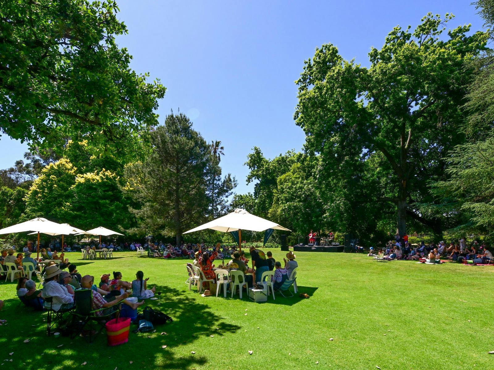 Music in the Gardens | Kerryn Fields