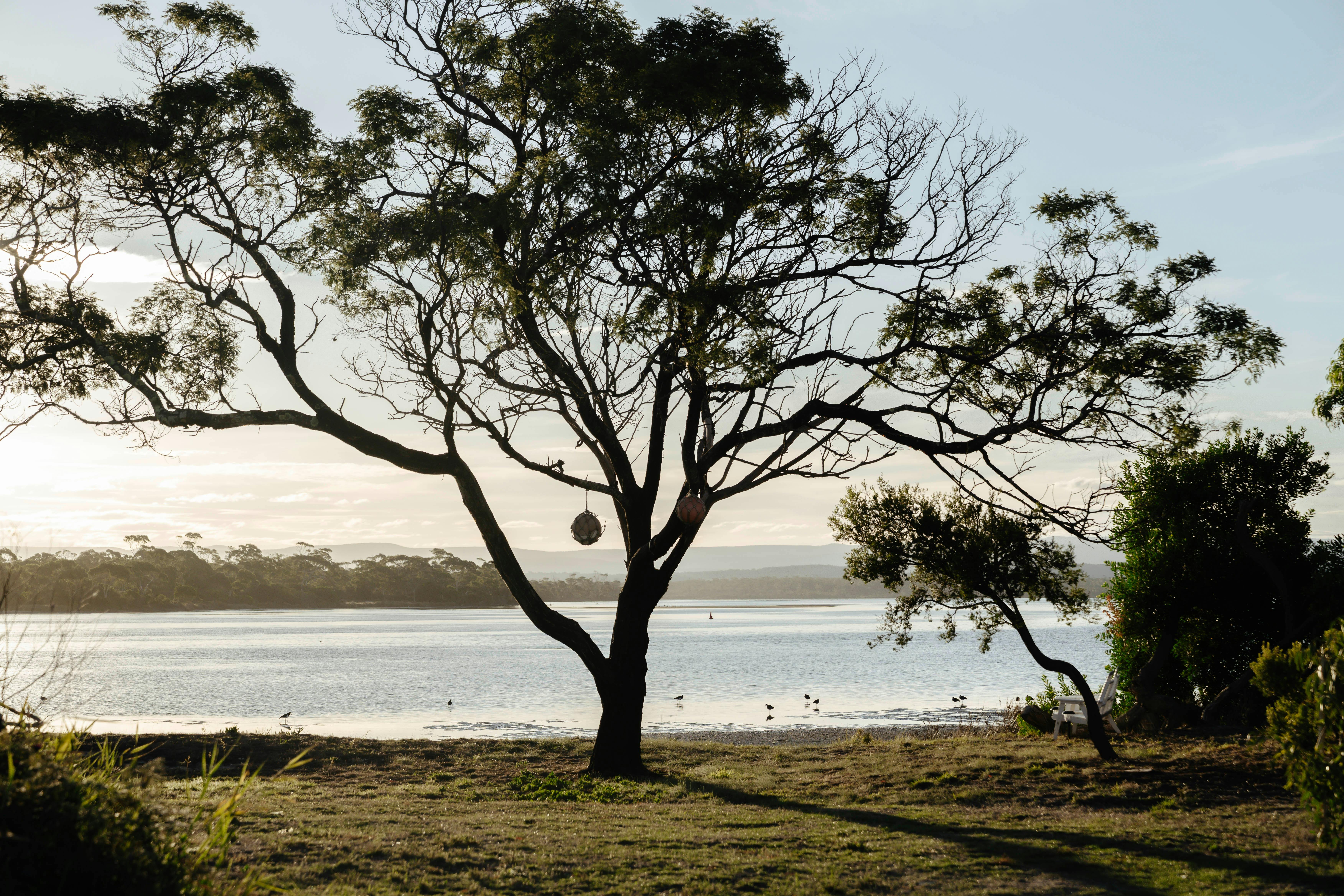 View of the beachfront