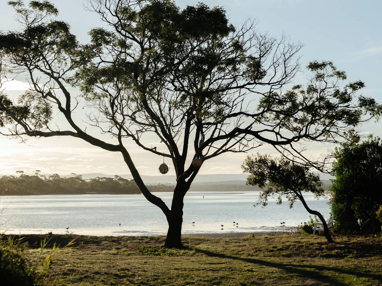 View of the beachfront