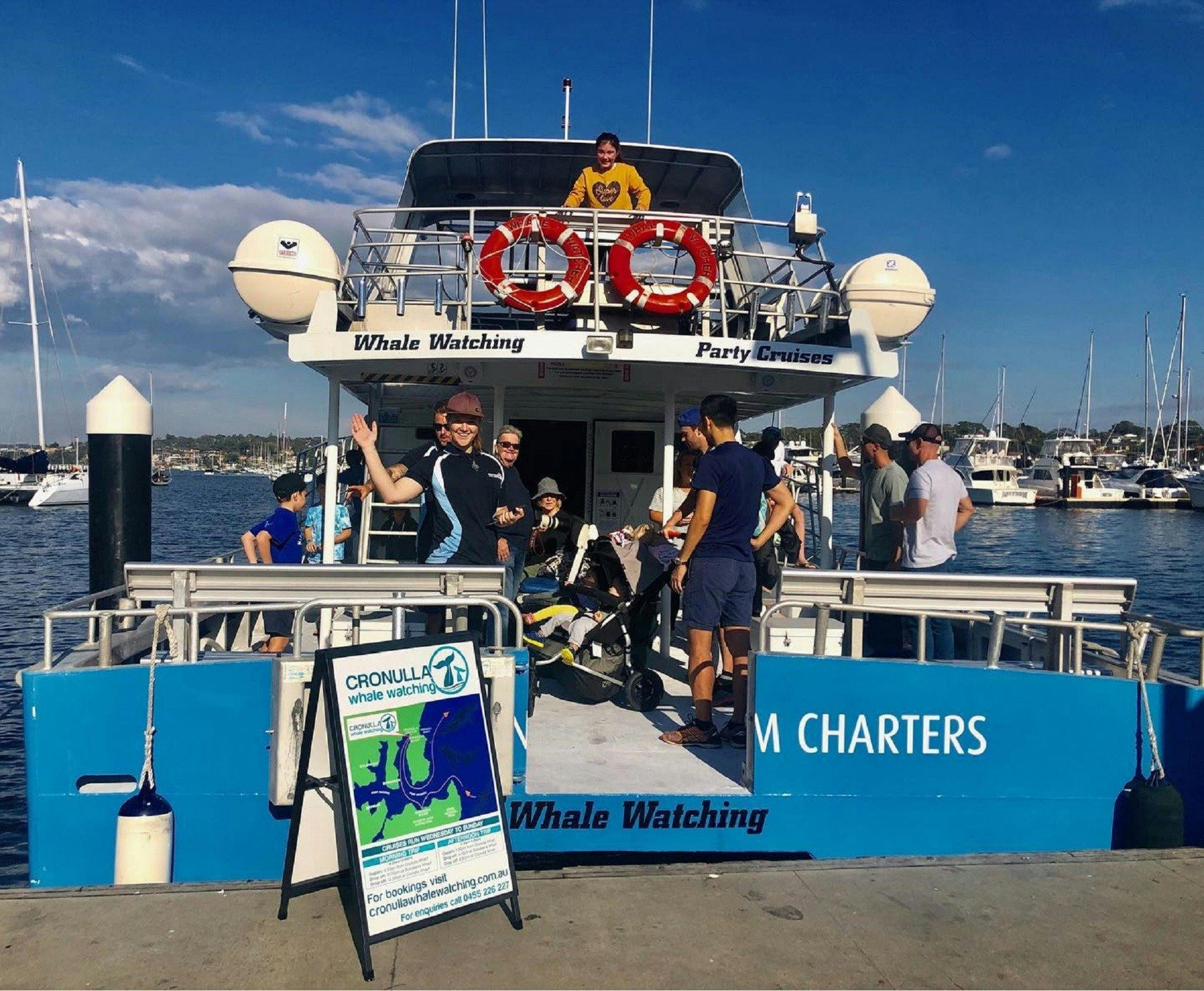 Cronulla Whale Watching