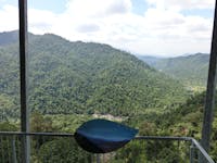 Standing at 37 metres above the Rainforest Canopy, enjoy the tranquility