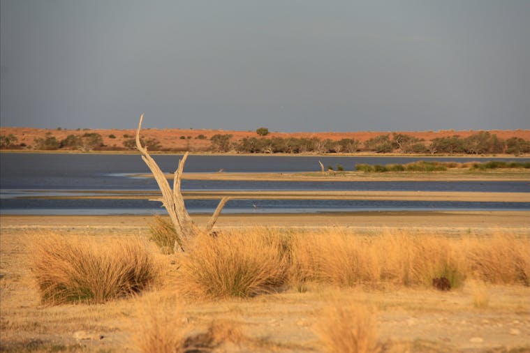Innamincka Regional Reserve