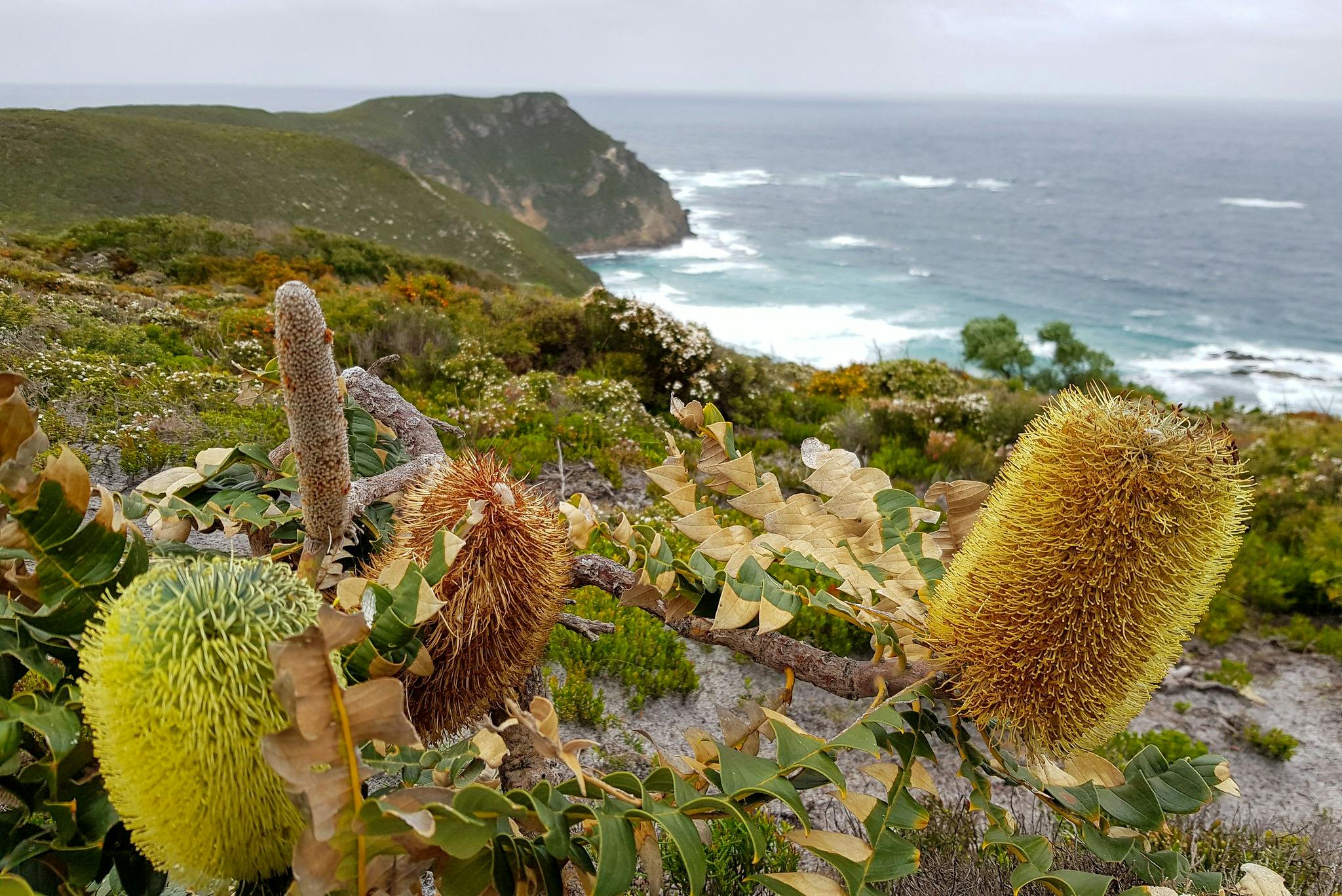 Hike the Bibbulmun Track: Walpole to Denmark