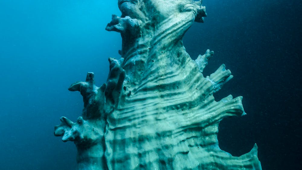 Ocean Sentinels / MOUA / Museum of Underwater Art