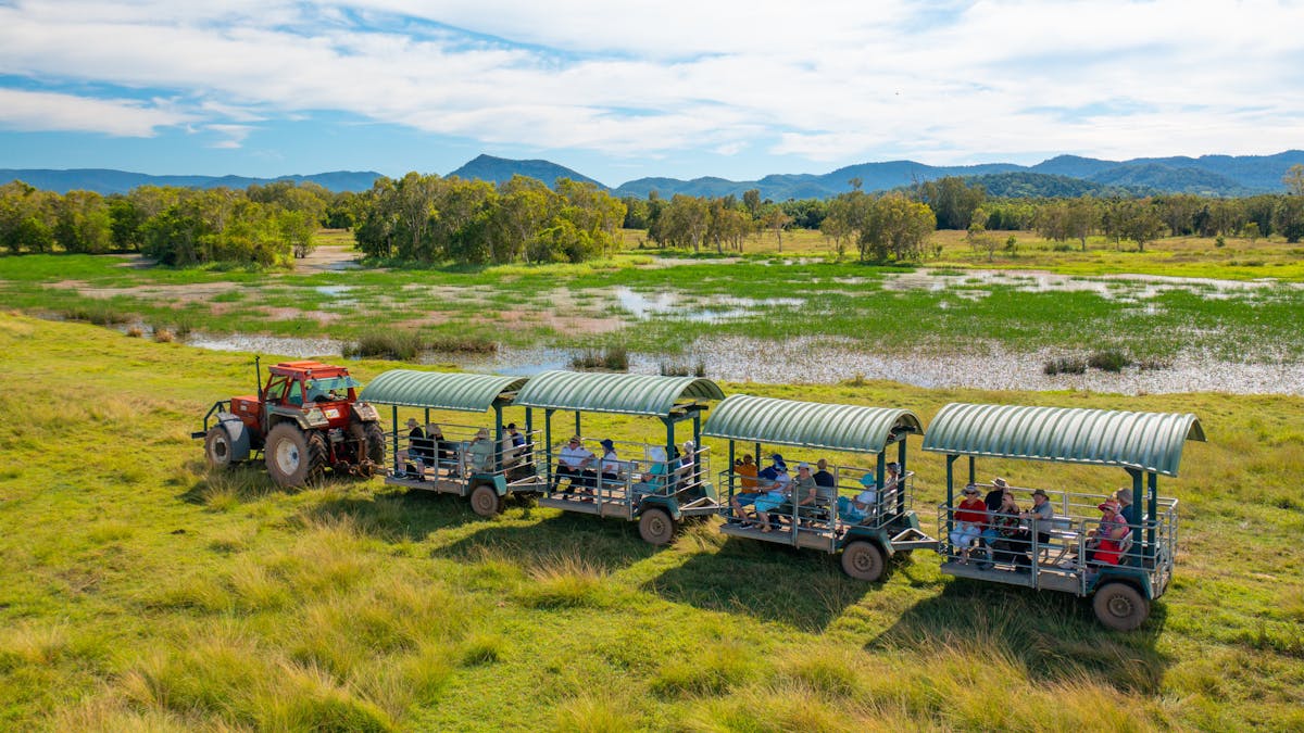 Croc Safari Wagon Train