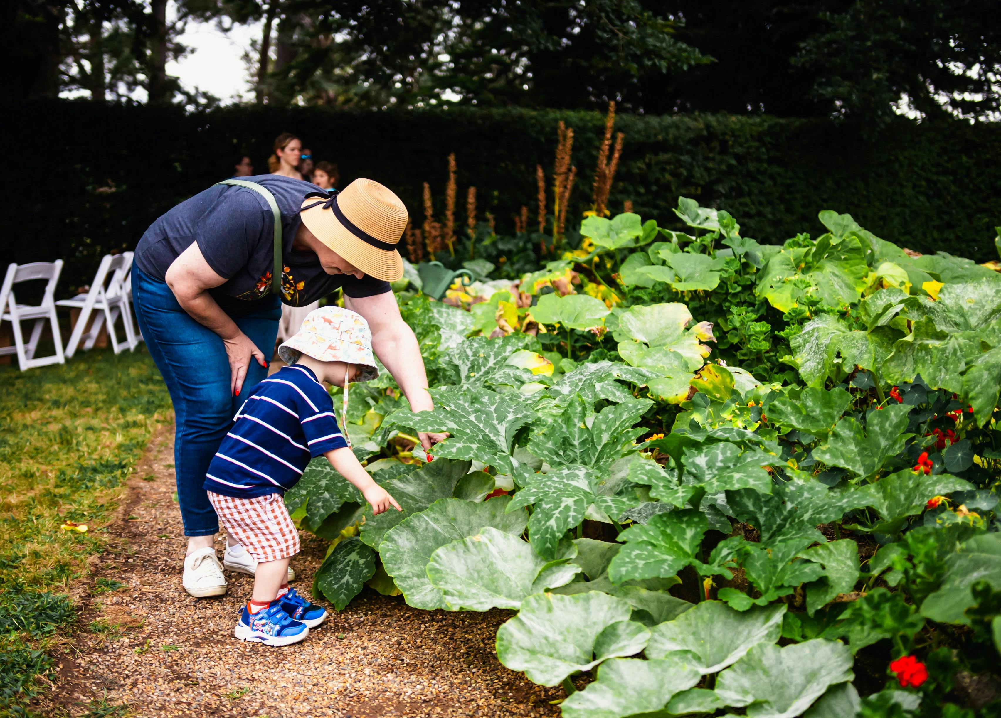Parent and child inspecting gardens at Harvest Day Out