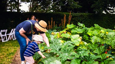 Parent and child inspecting gardens at Harvest Day Out