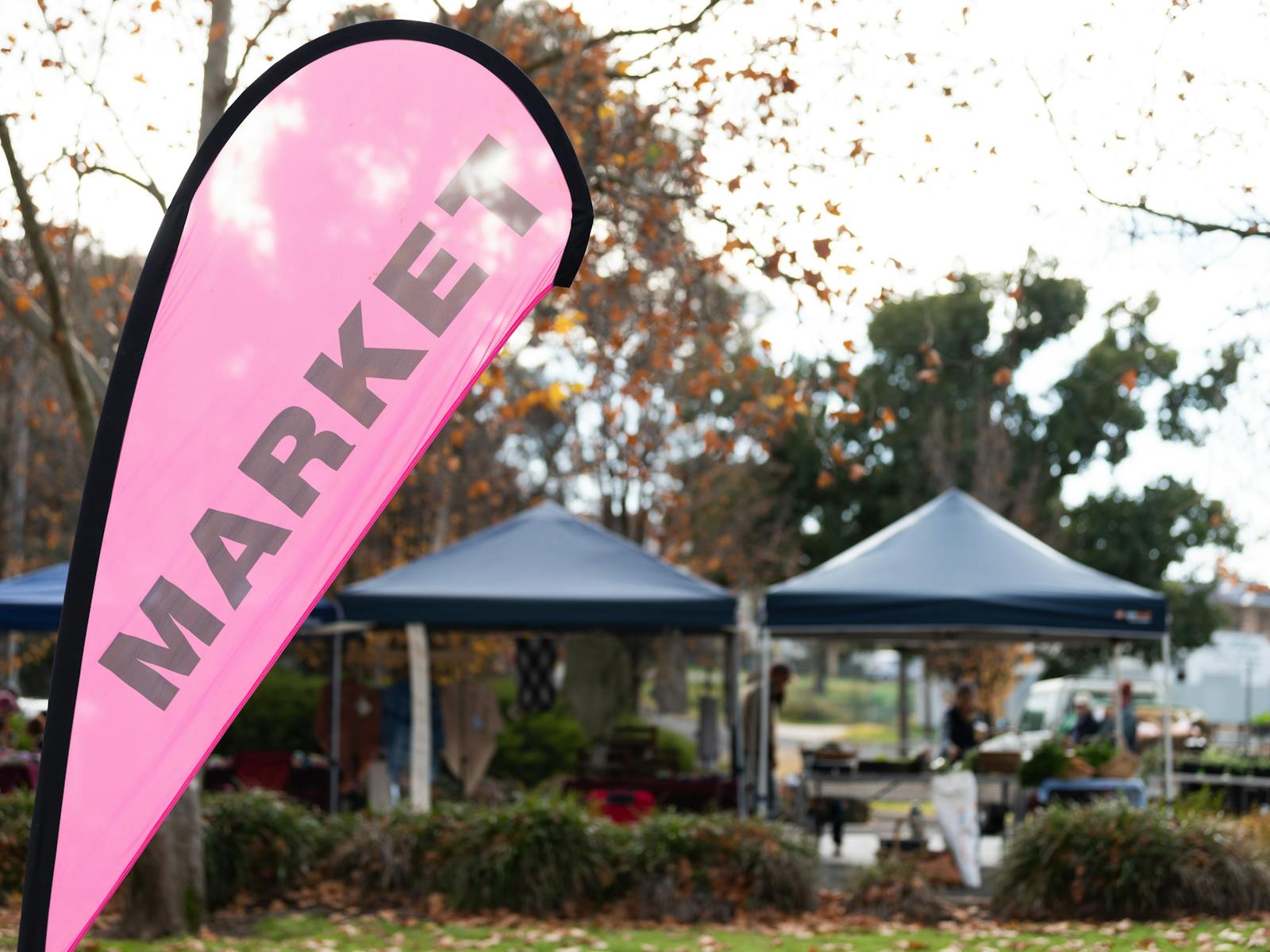 Image for Young and Region Farmers Markets
