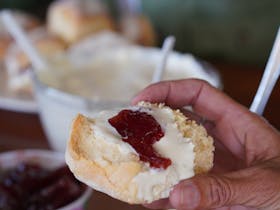 Yummy scones on our Full Day Tour to the Opal Fields and three bush pubs