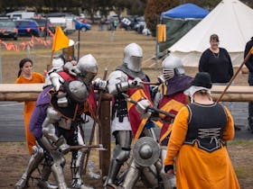 Historical Reenactors