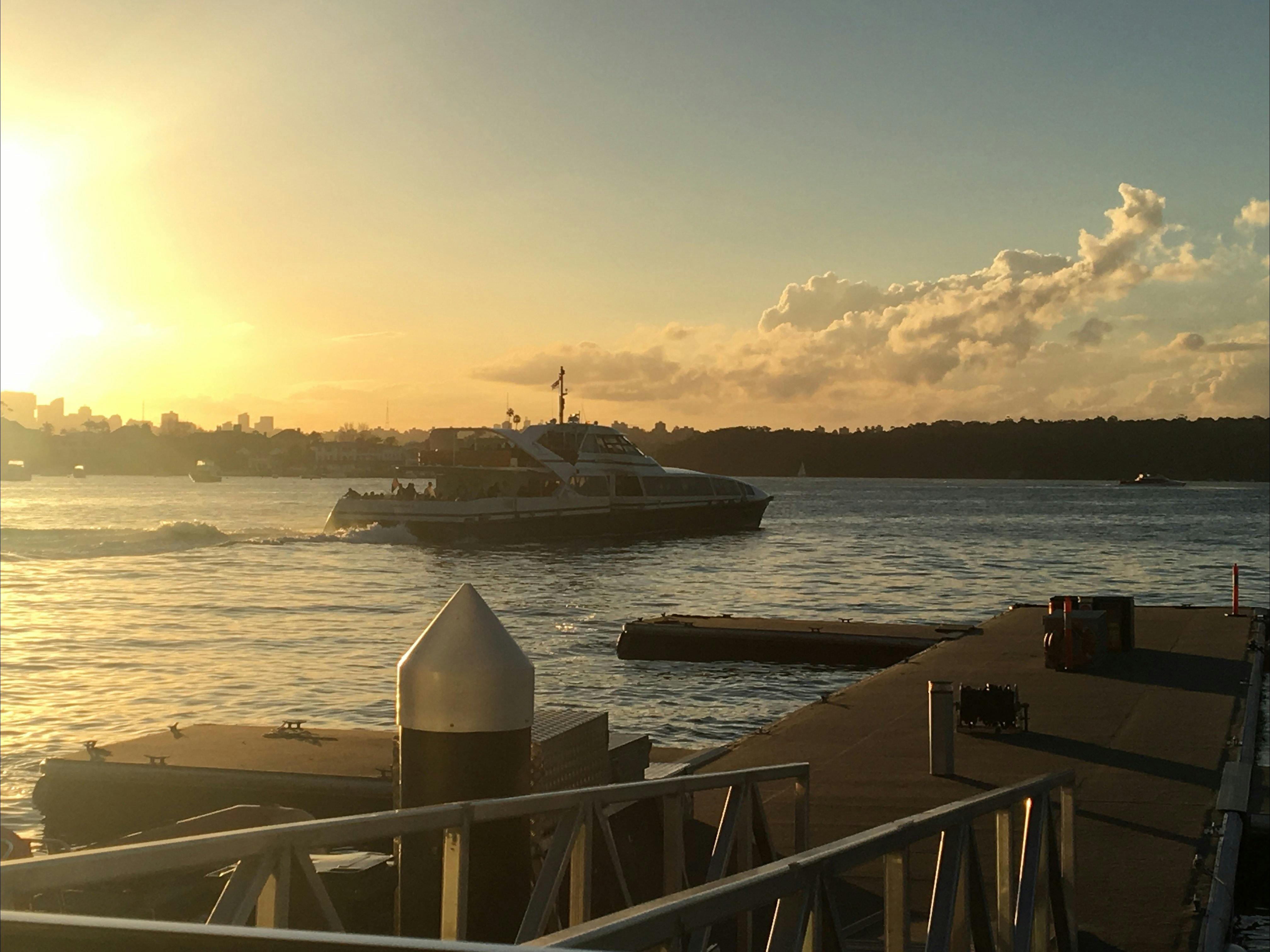 悉尼港的渡輪服務很棒